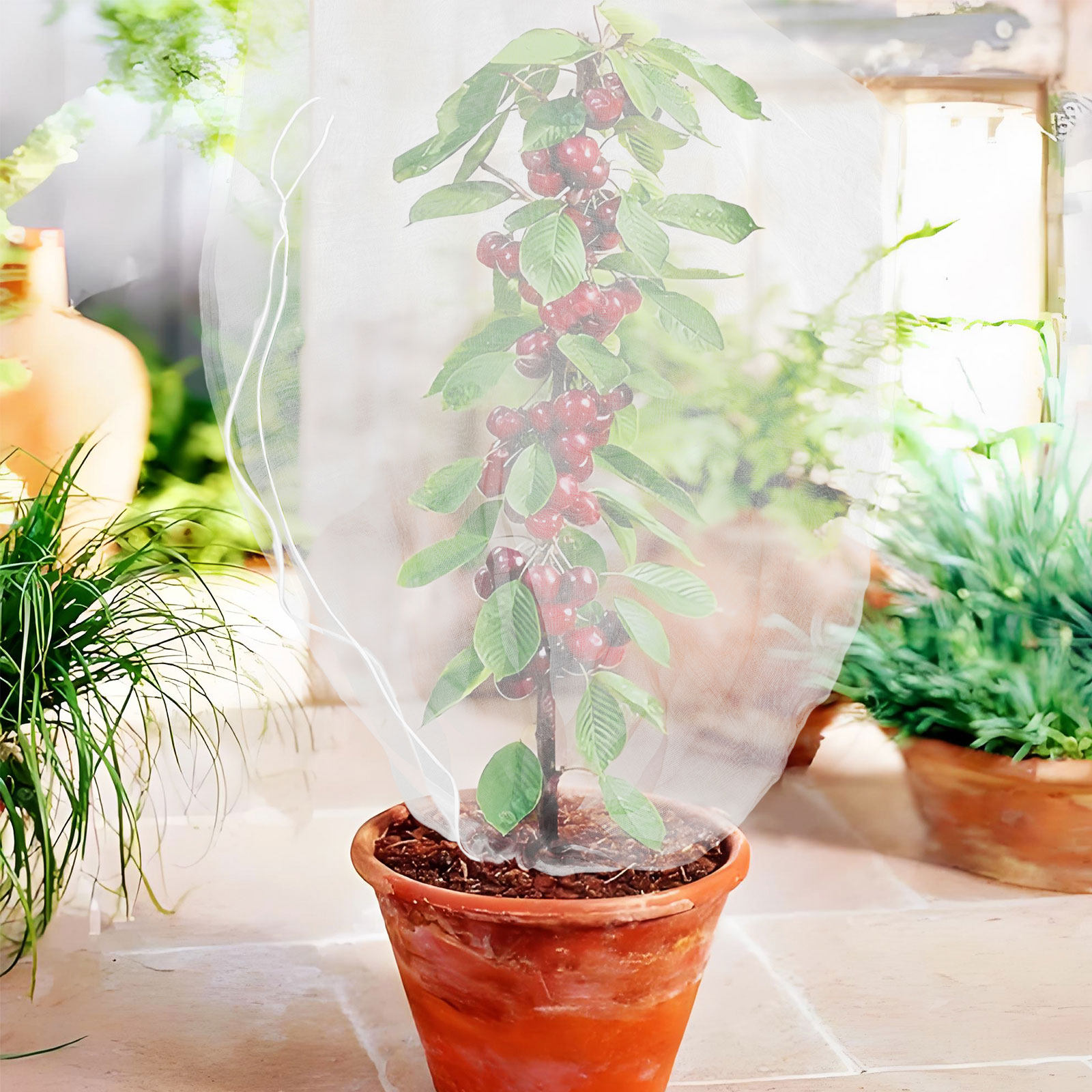 Mesh Net Bag - 8枚組の細かいメッシュ製植物保護バッグ、ブルーベリーの木や野菜、果物、樹木用の鳥よけネット、引き紐付きガーデンネット